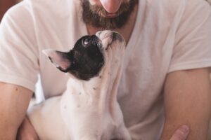 Is It Hard to Train a Dog? A Comprehensive Guide